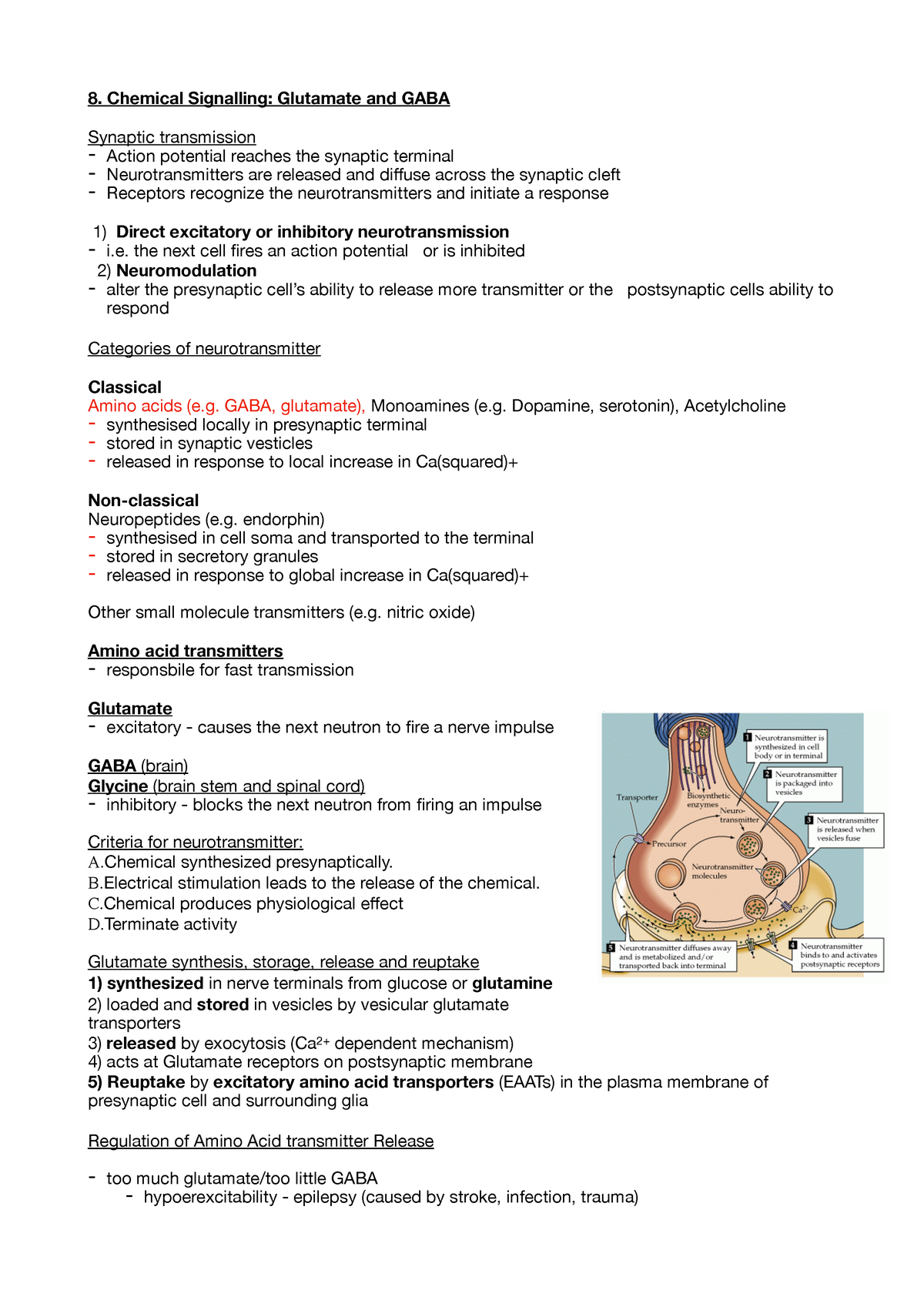 Chemical signalling - glutamate and GABA - 8. Chemical Signalling ...