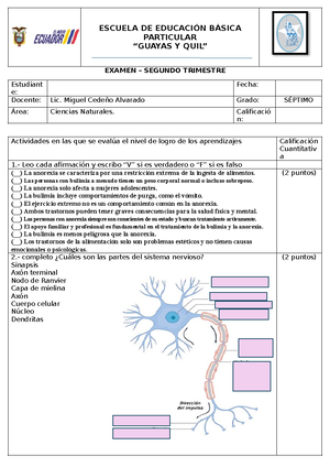 Examen Segundo Trimestre Ciencias Naturales Octavo Escuela De