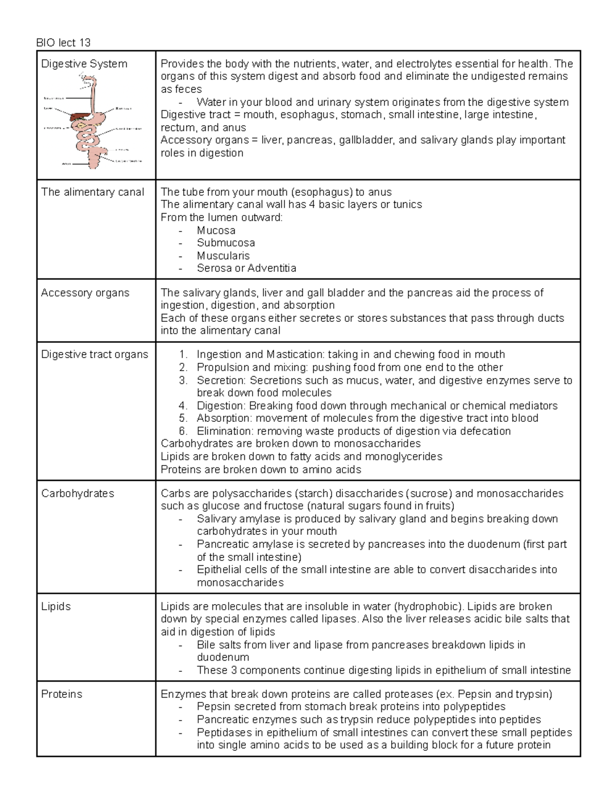 Digestive System - The organs of this system digest and absorb food and ...