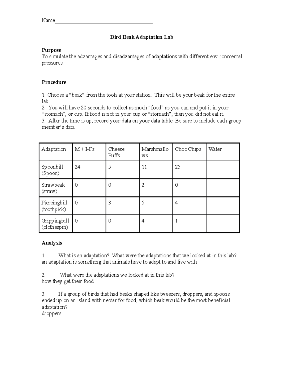 Copy of Bird Beak Adaptation Lab Name