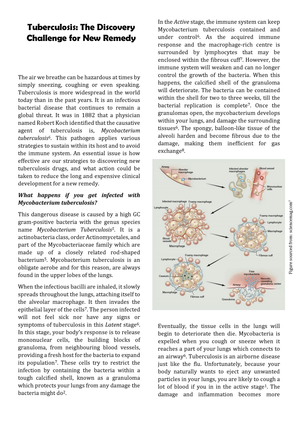 literature review on tuberculosis