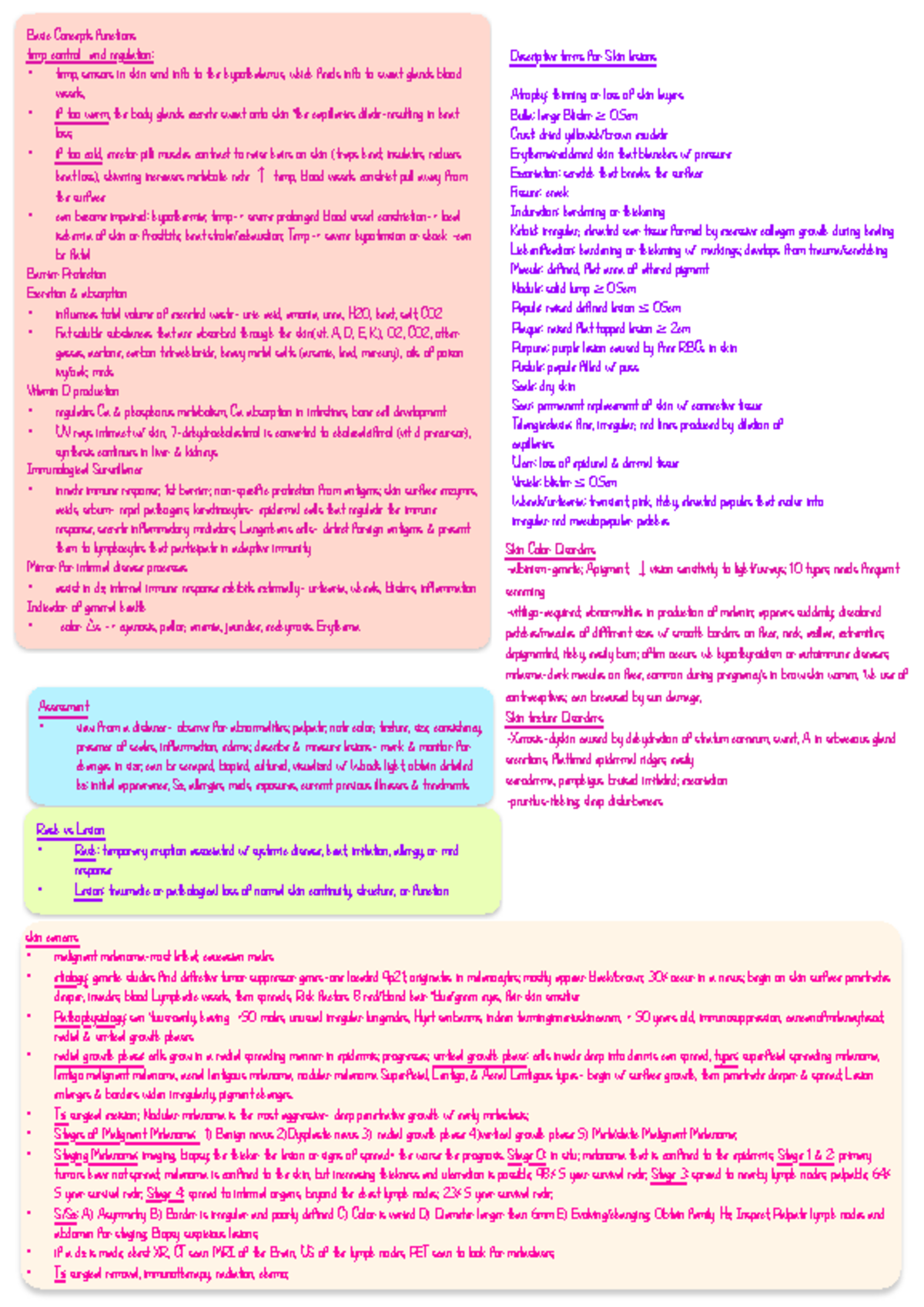 Pathophys Notes- integumentary - D236 - Studocu