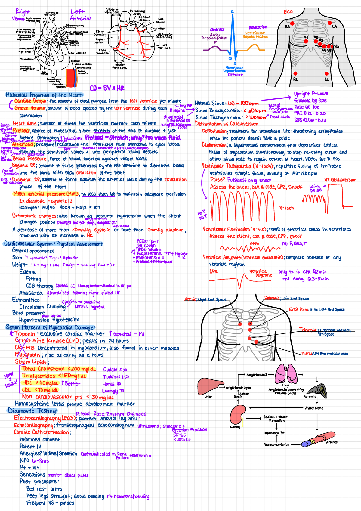 Cardiovascular Concept Maps - superior Toarteriesof venacava Pulmonary ...