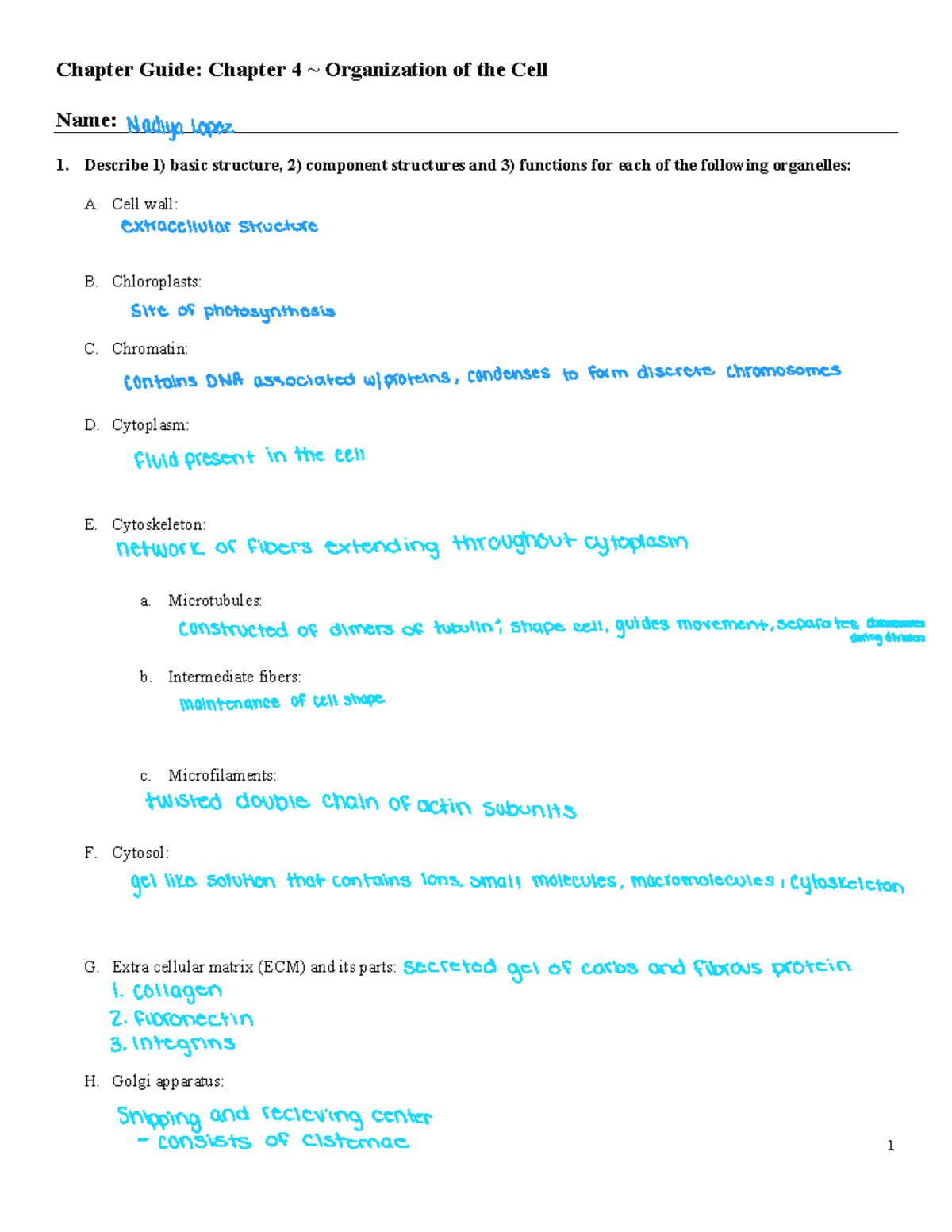 CG+Ch+4 2nd - chapter guide questions for chapter 4 part 2 - Chapter ...