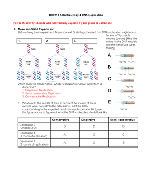 11-Genetic Code and Translation-post - BIO 211 Activities: Day 11 ...