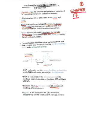Chem 210 Chap 16 lecture - CHEM 211AC - Studocu