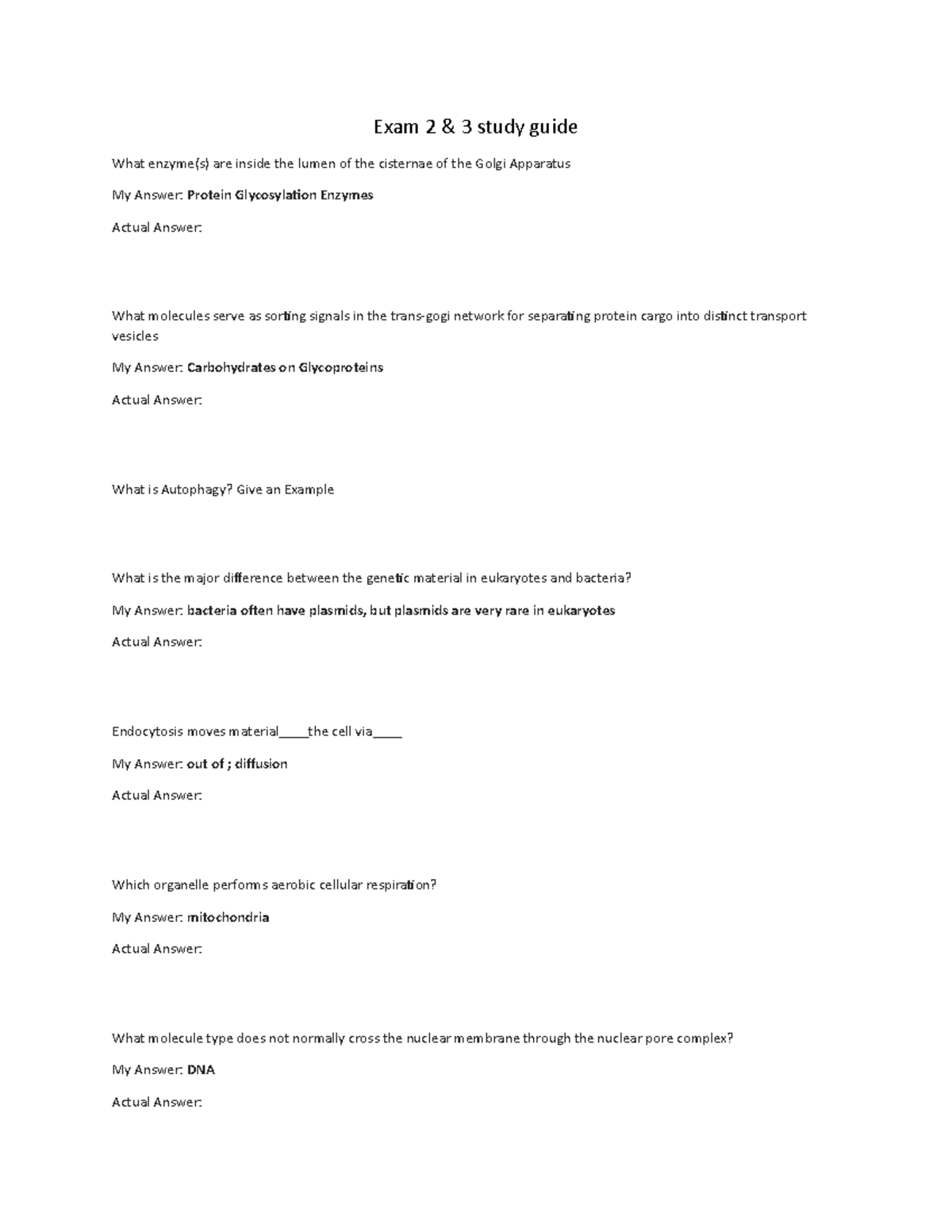 Exam 2 & 3 study guide - Exam 2 & 3 study guide What enzyme(s) are ...