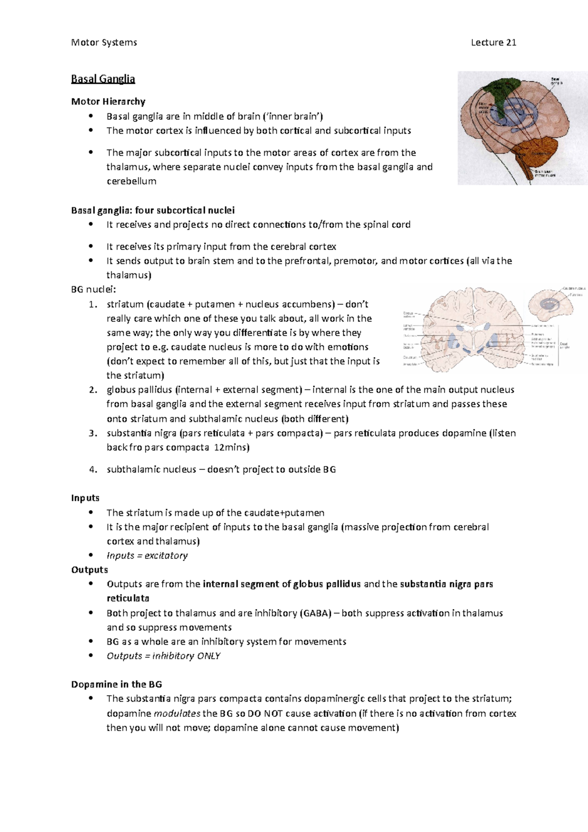 Lecture 21; Basal Ganglia - Motor Systems Lecture 21 Basal Ganglia ...