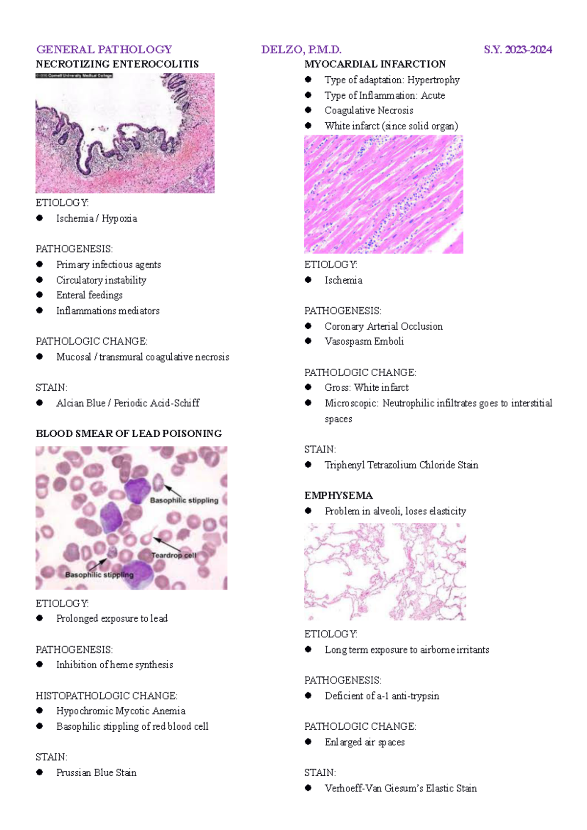 Finals Lab Reports - NECROTIZING ENTEROCOLITIS ETIOLOGY: Ischemia ...