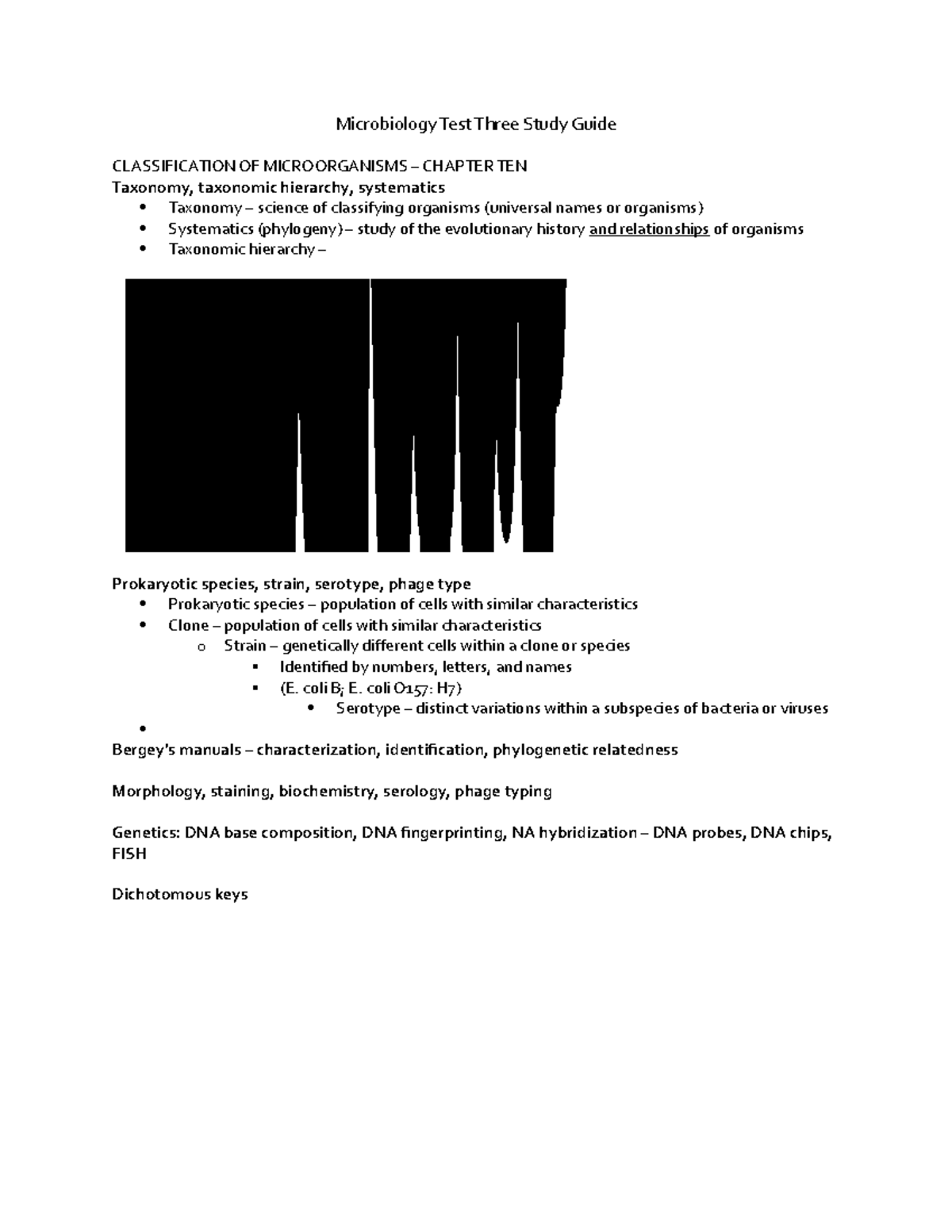 Exam 3 - study guide - Lecture notes Exam 3 Material - Microbiology ...