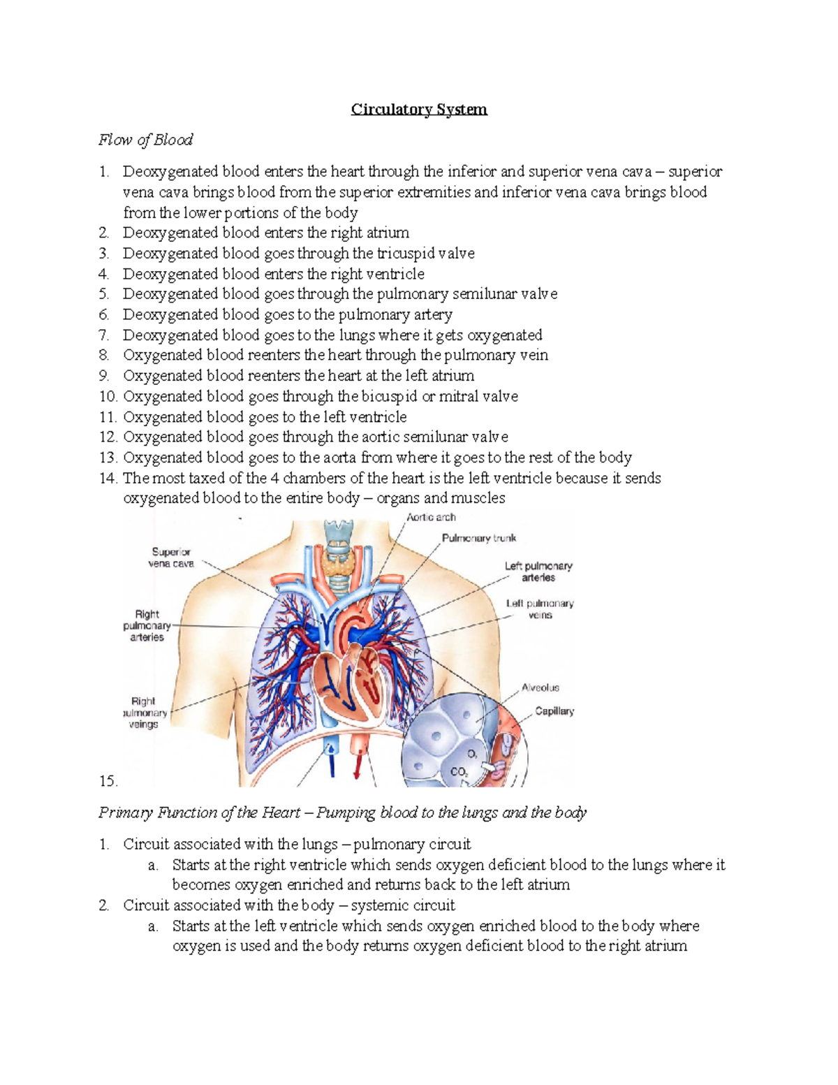 18 - Circulatory System - Circulatory System Flow of Blood Deoxygenated ...