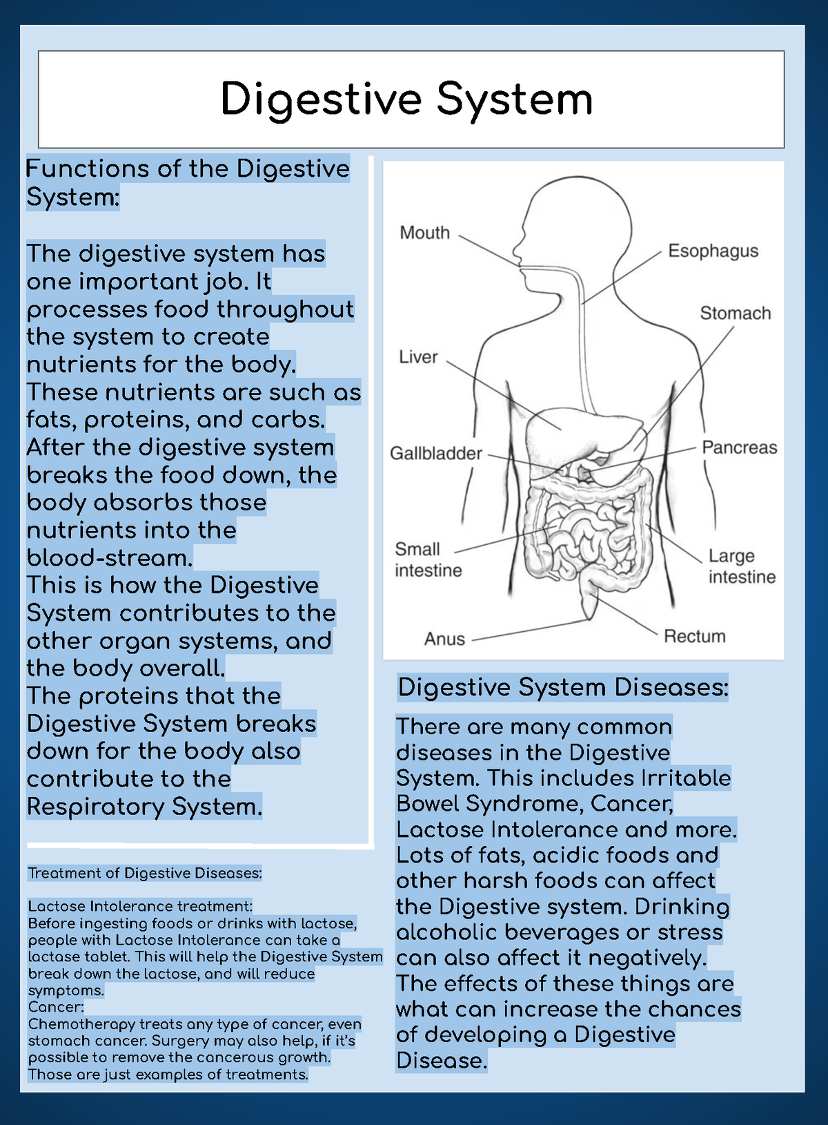 Digestive System - adgthyjuikyujtyh - Digestive System Functions of the ...