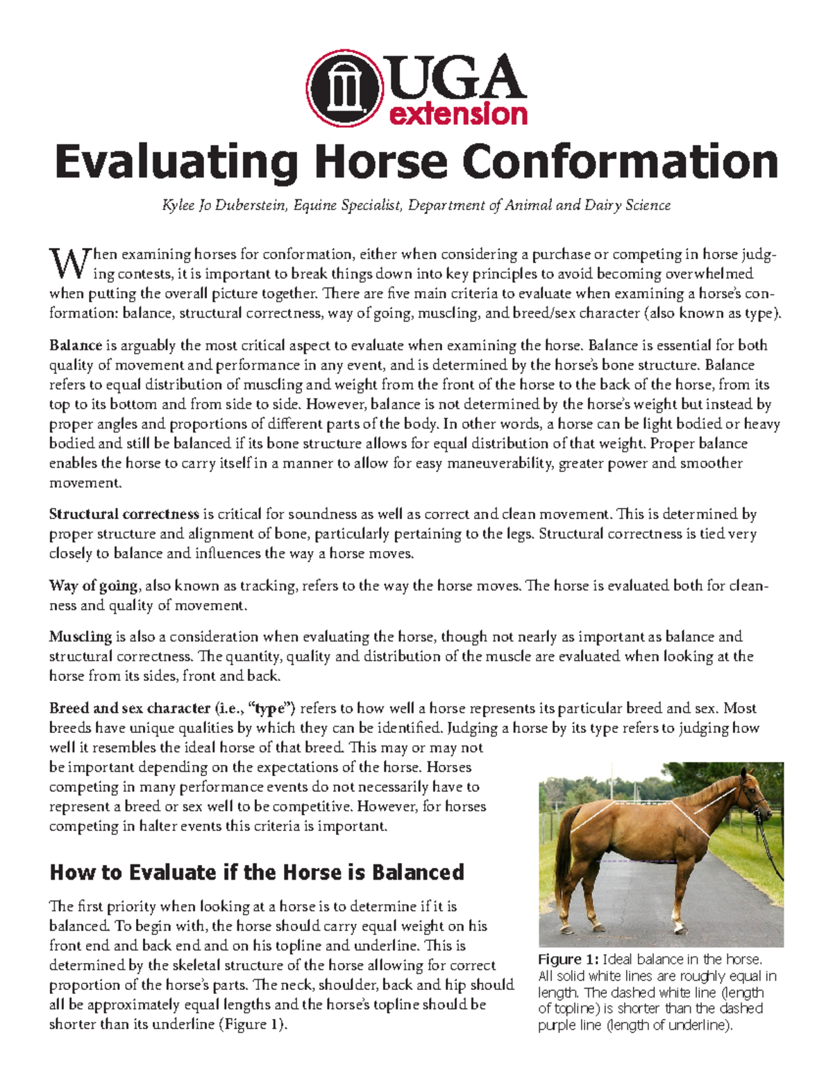 Conformation - Evaluating Horse Conformation Kylee Jo Duberstein ...