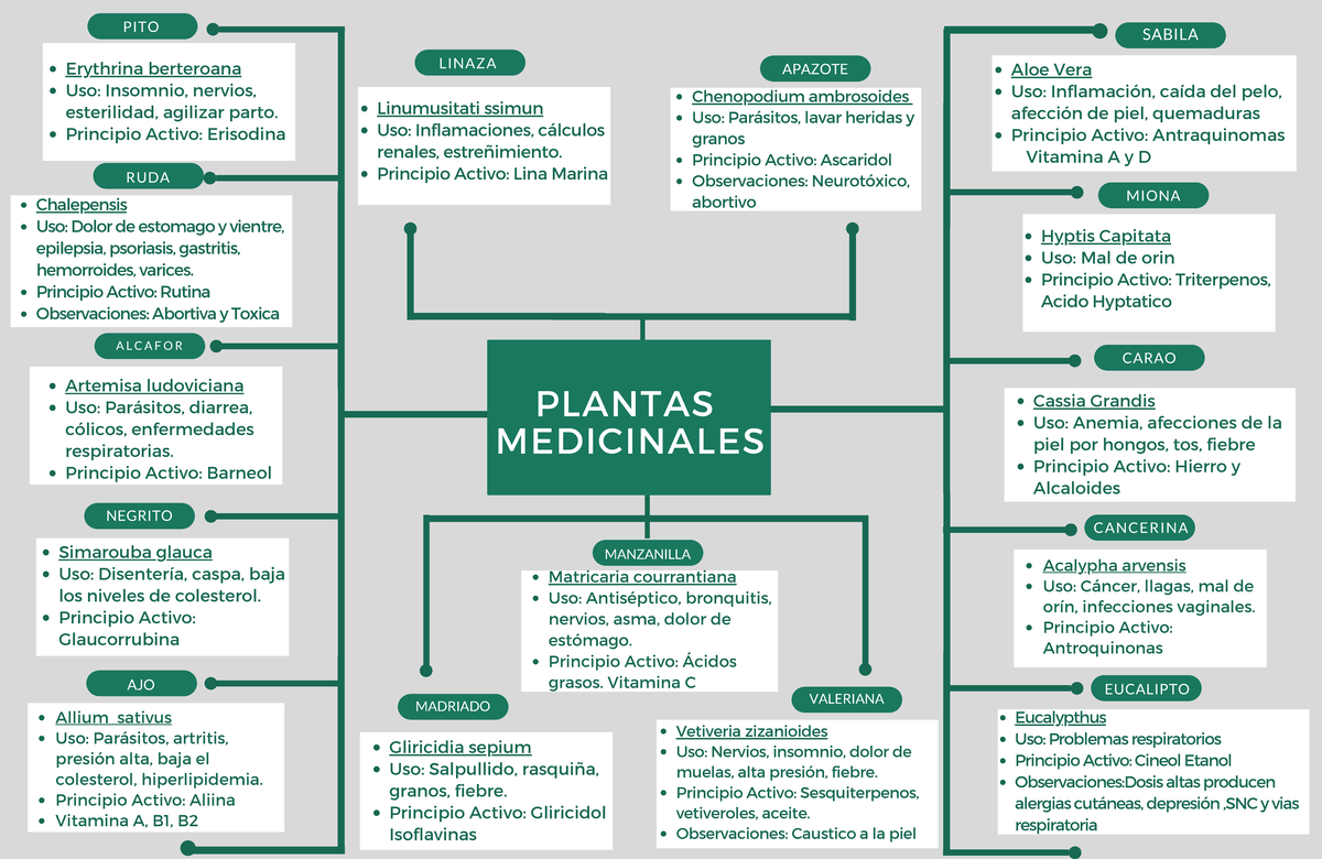 Cuadro acerca de las plantas medicinales con su información - PLANTAS