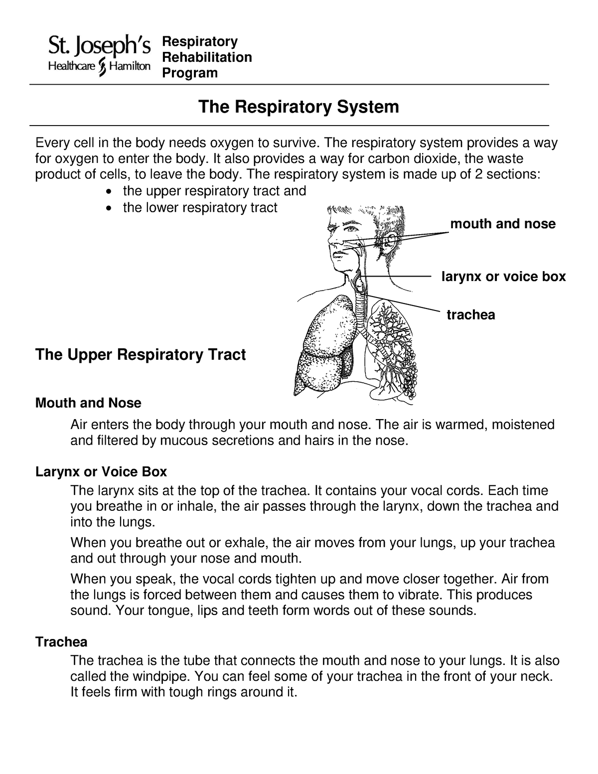 Respiratory-system-pdf - Respiratory Rehabilitation Program The ...