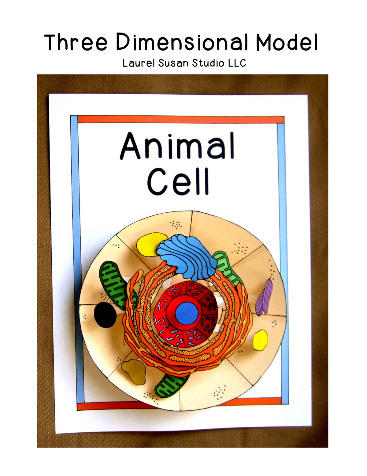 Animal Cell Model Template - Animal Cell Model – Three Dimensional Laurel  Susan Studio LLC This - Studocu