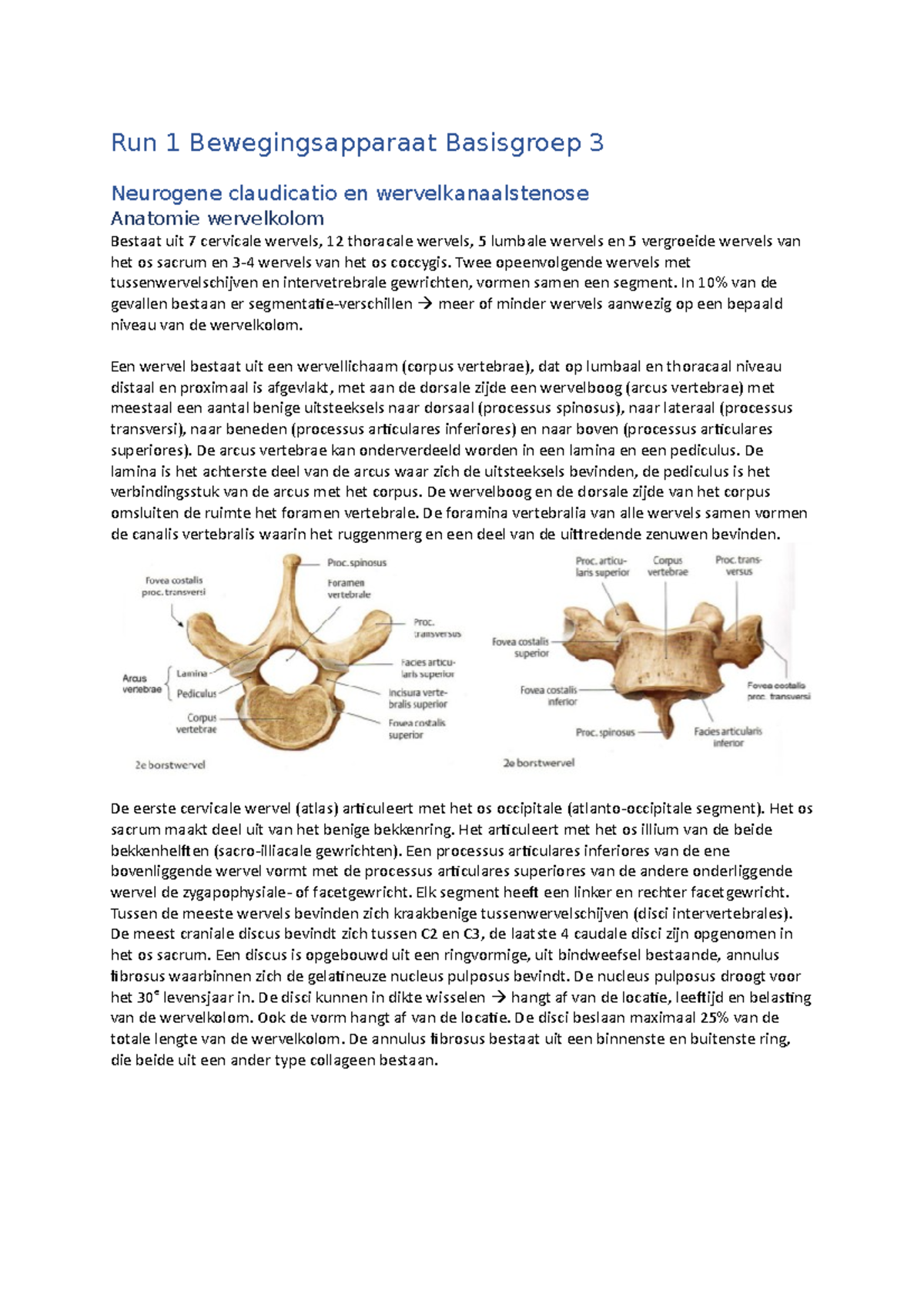 Syllabus Anatomie van het Bewegingsapparaat BWB110 (2025-2026