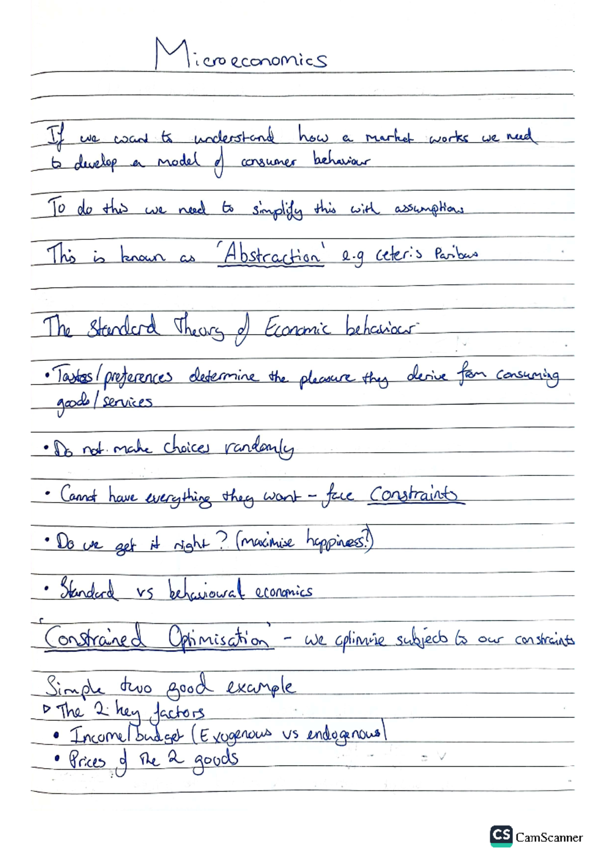Microeconomics 1 Term 1 notes(pt1) - EC109 - Studocu