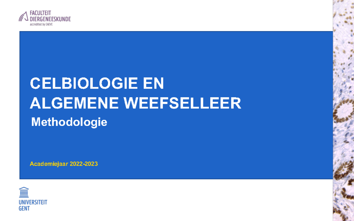 Cbawl Methodologie 2223 - Celbiologie En Algemene Weefselleer - UGent ...