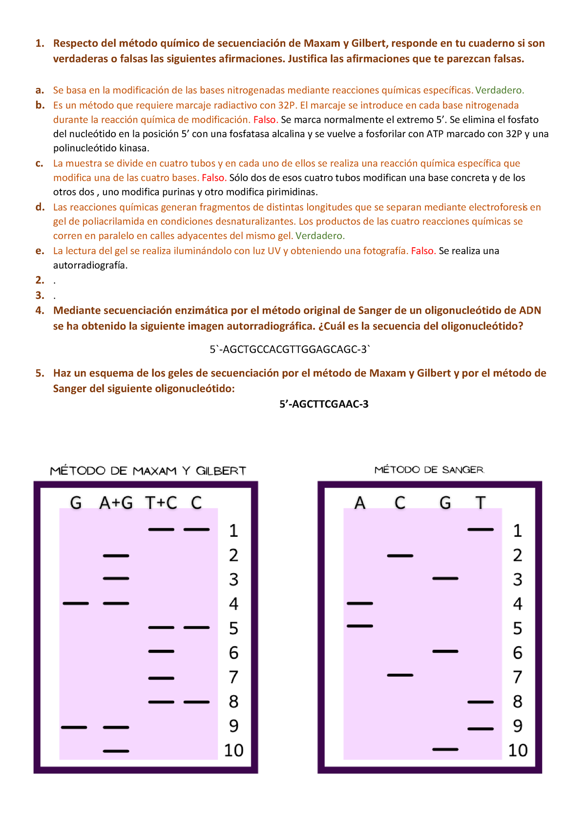 Ejercicio P Gina Y Libro Actividades Adicionales Y Biolog A Molecular Y