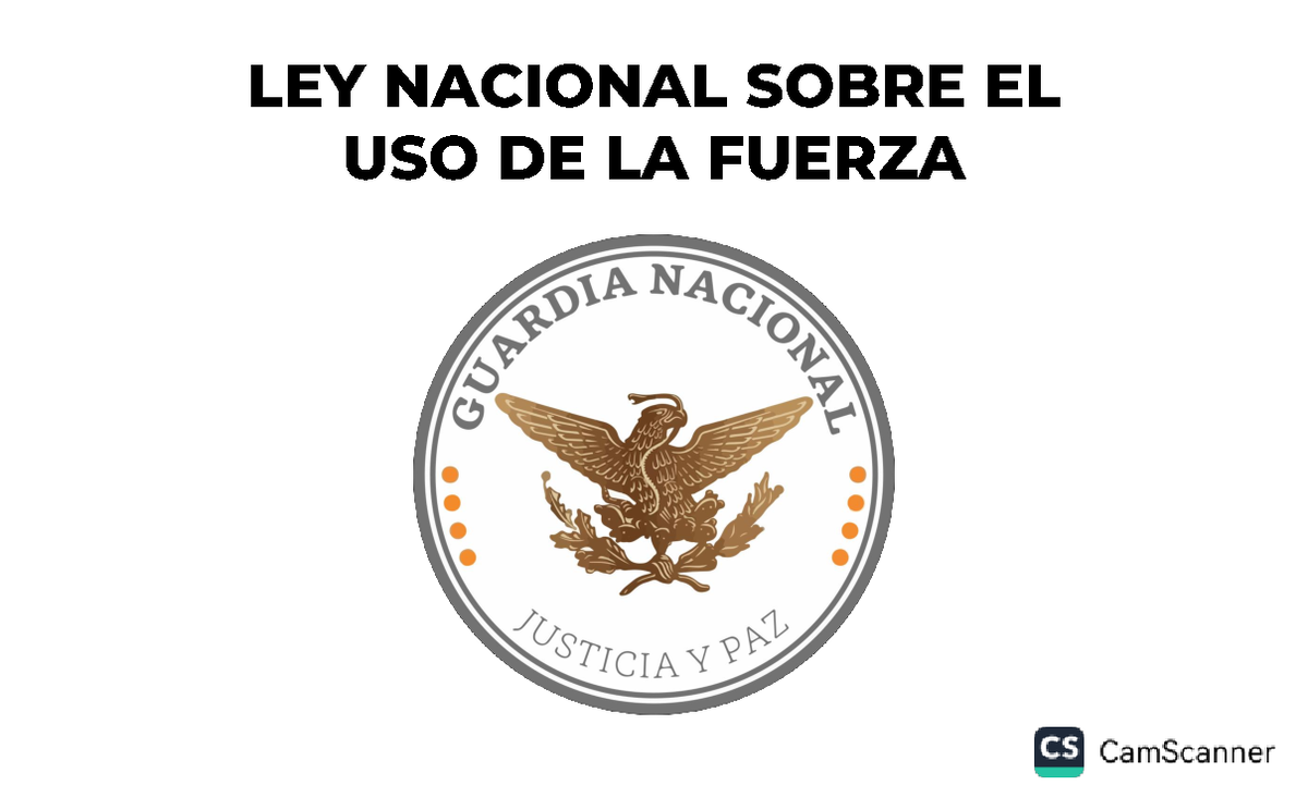 LEY Nacional Sobre EL USO DE LA Fuerza - Derecho Civil - El uso de la
