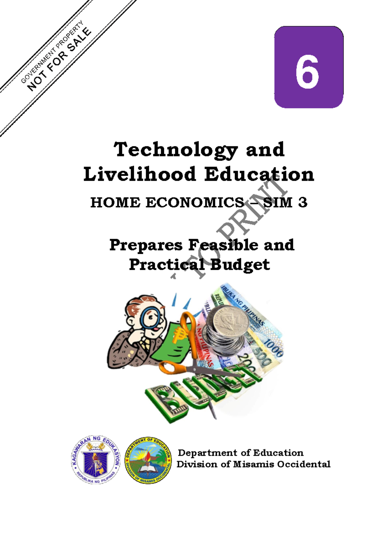 TLE6 HE SIM3 Prepares Feasible and Practical Budget-v4 - Technology and ...