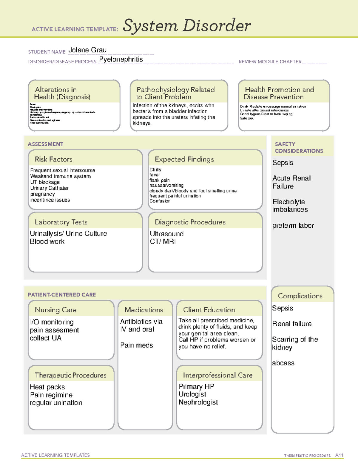 Pyelonephritis ATI System Disorder - ACTIVE LEARNING TEMPLATES ...