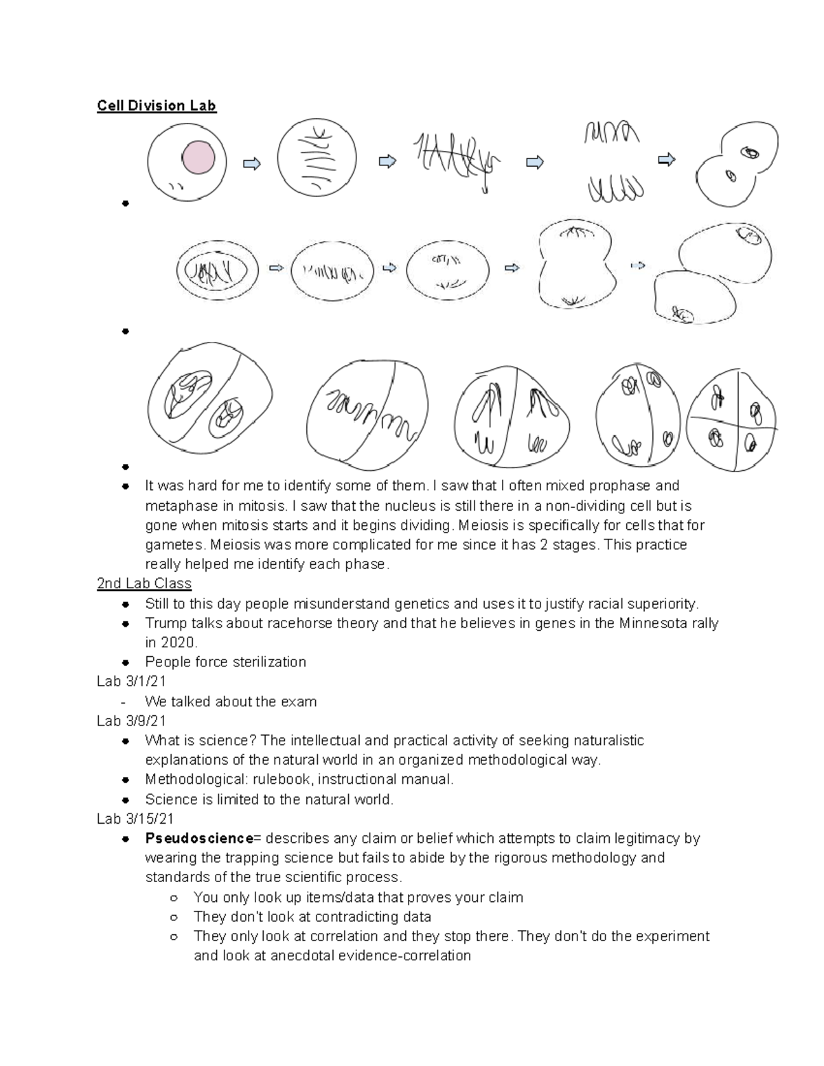 BIO 108 Lab Notebook - Cell Division Lab It was hard for me to identify ...
