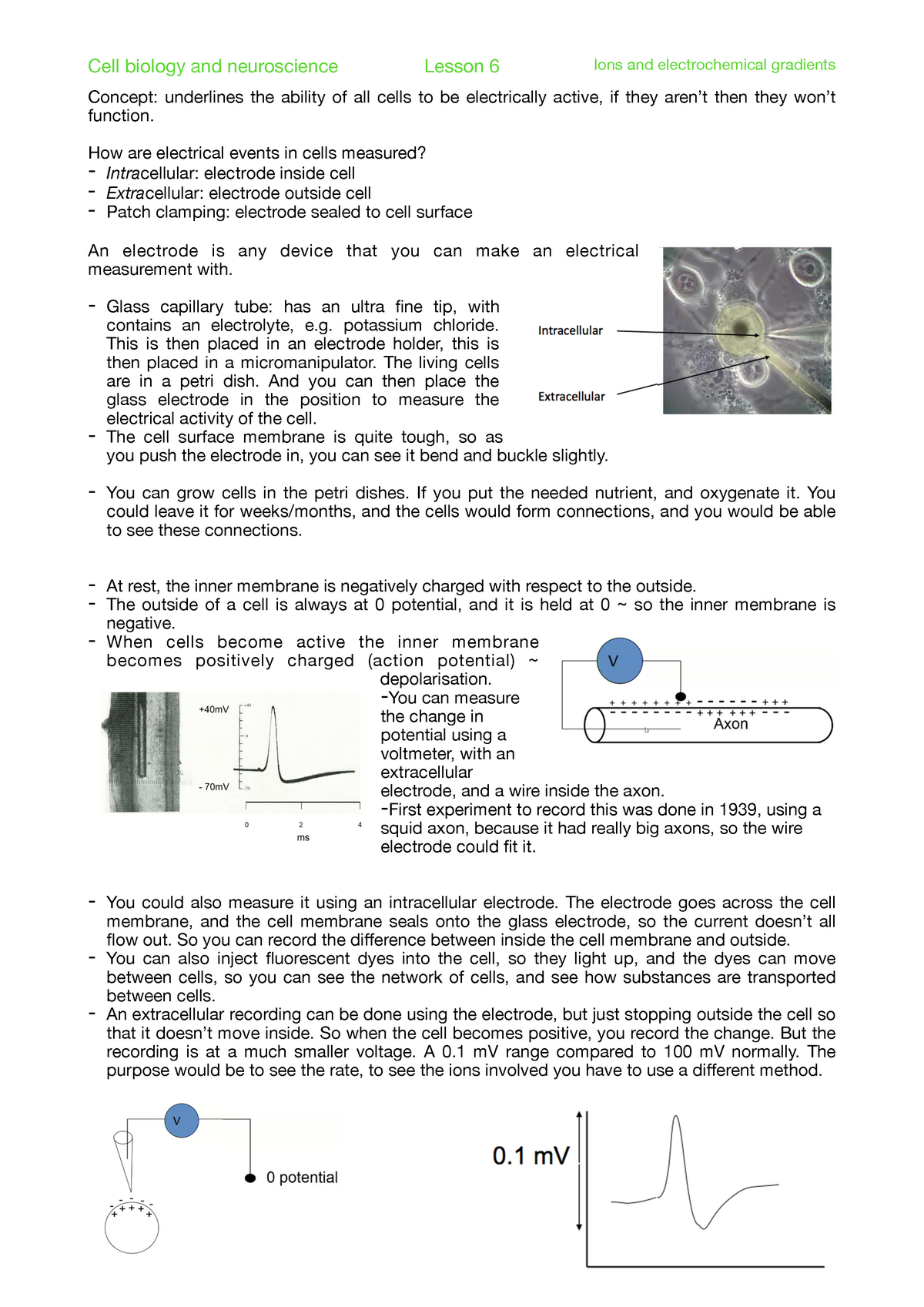 7 Ions And Electrochemical Gradients Concept Underlines The Ability   Thumb 1200 1697 