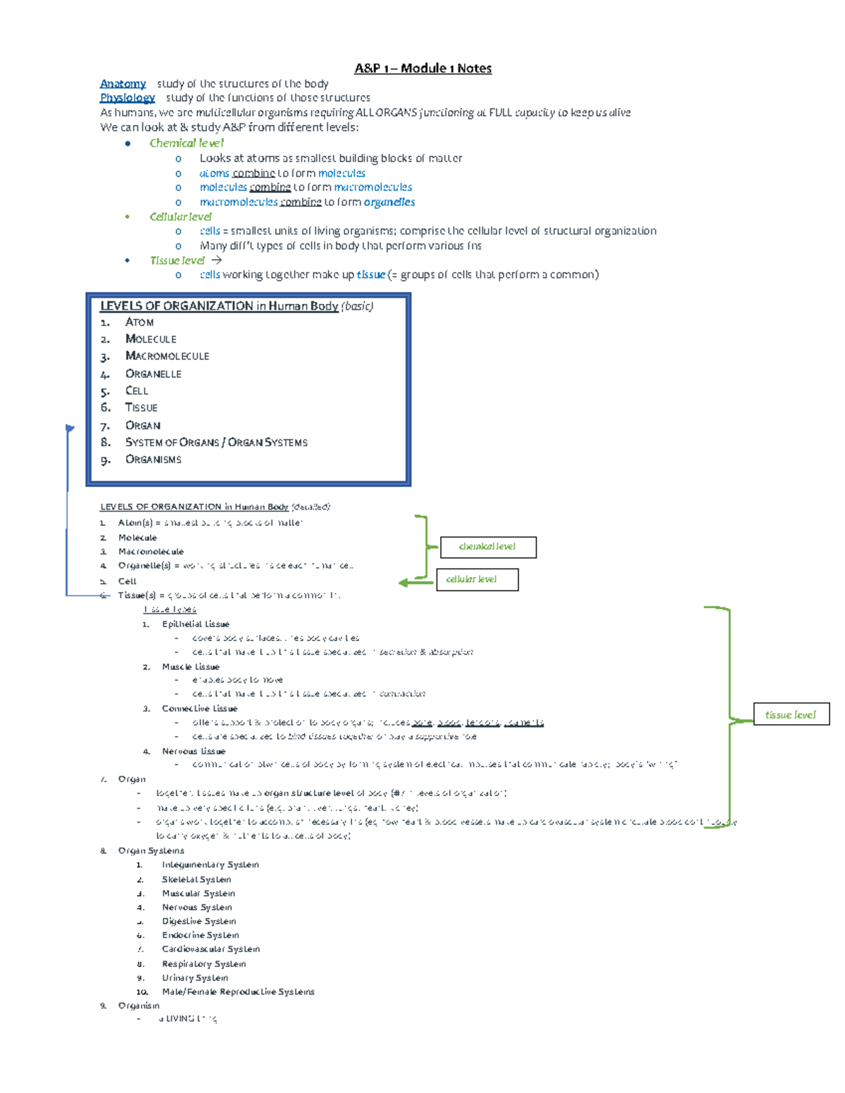 Module 1 class notes - A&P 1 – Module 1 Notes Anatomy – study of the ...