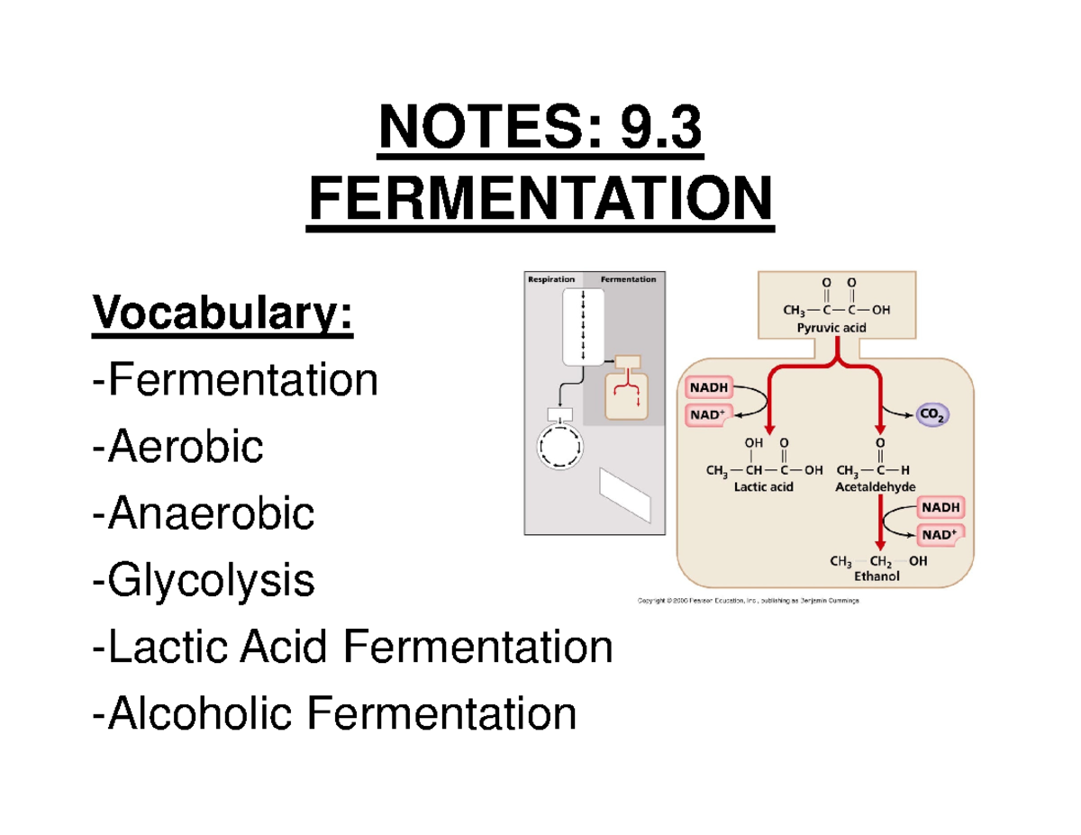 Fermentation Cellular Respiration NOTES 9. FERMENTATION Vocabulary