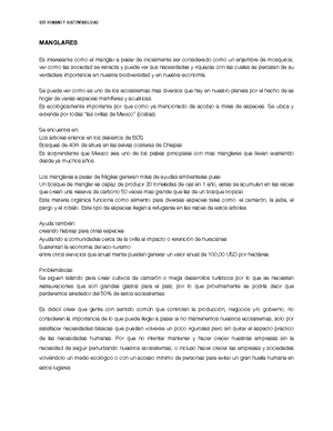 Linea del Tiempo de la Sustentabilidad - SUSTENTABILIDAD 1983 Tomas ...