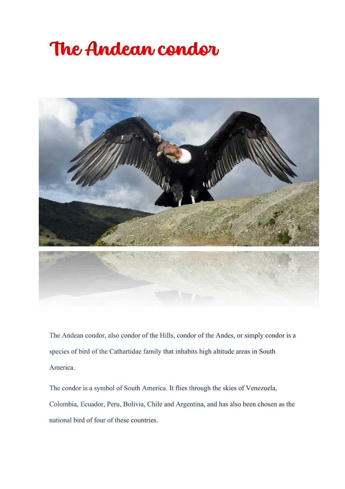 The Andean condor - Hello it's a final paper - 2. CONDOR DATA. The ...