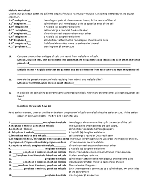 The Cell Cycle and Cancer Worksheet Virtual Lab - Virtual Lab: The Cell ...