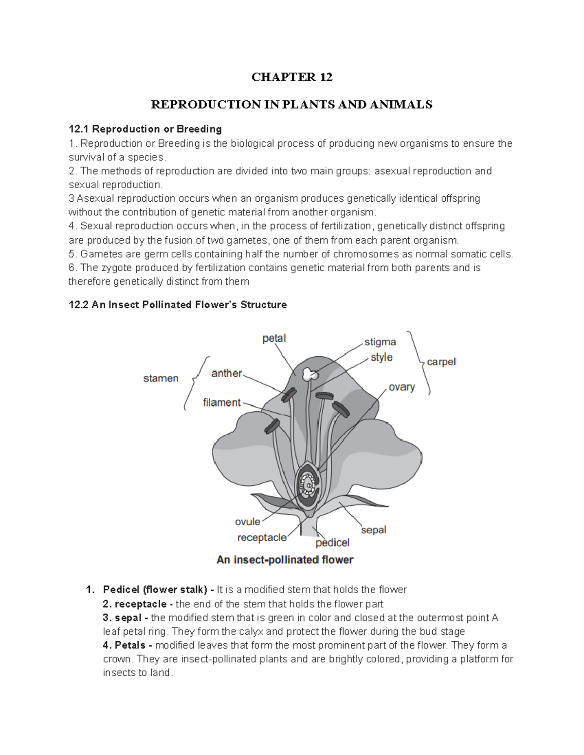 Chapter 12 Reproduction IN Plants AND Animals - CHAPTER 12 REPRODUCTION ...