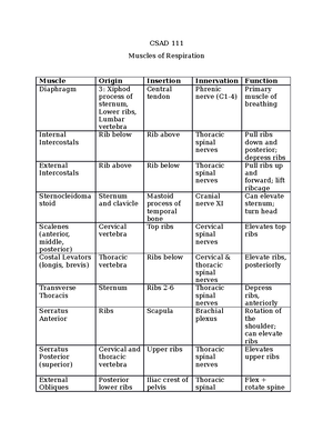 Articulation Muscle Chart - Muscle Location Origin Insertion ...