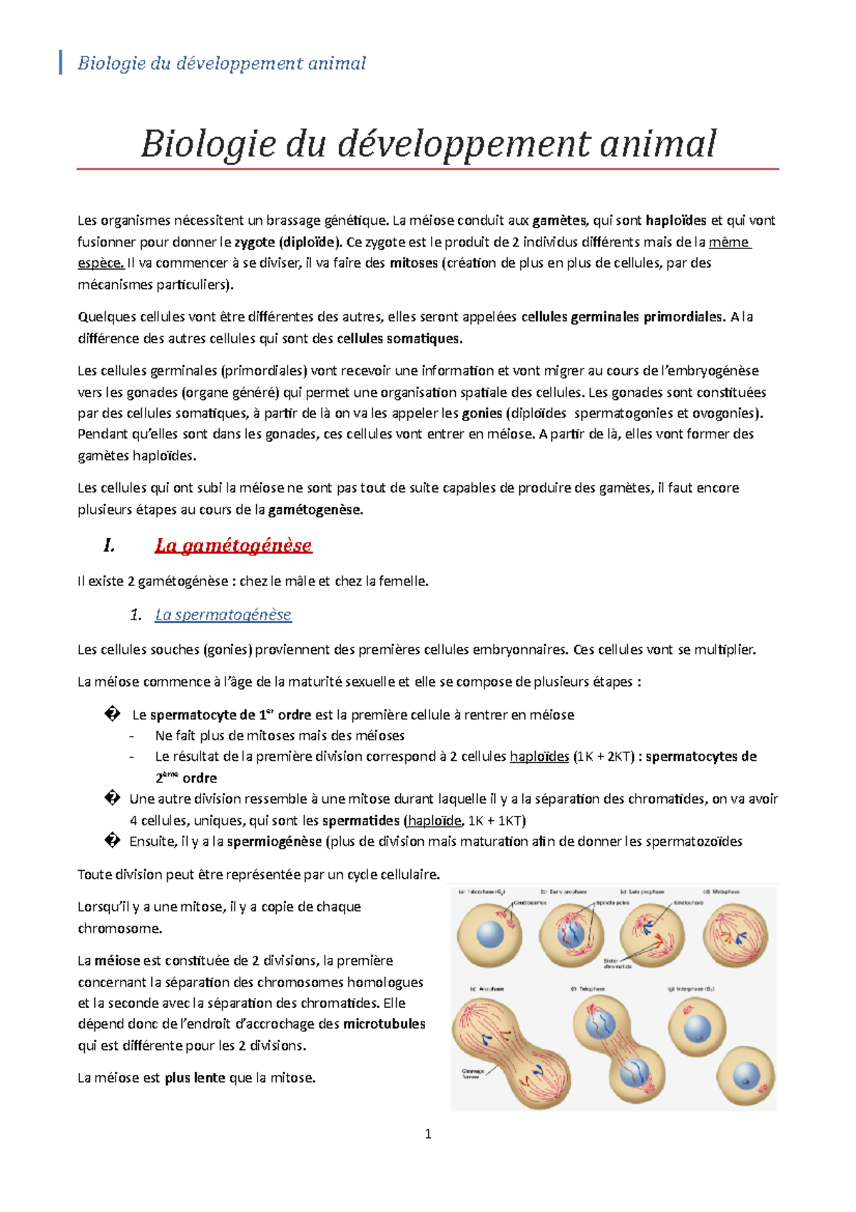 CM 2-5 Biologie du développement animal - Introduction au developpement ...