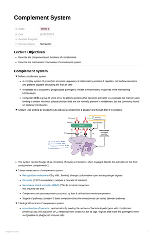 Antigens & Major Histocompatibility Complex (MHC) ab5f82e8b295424 ...