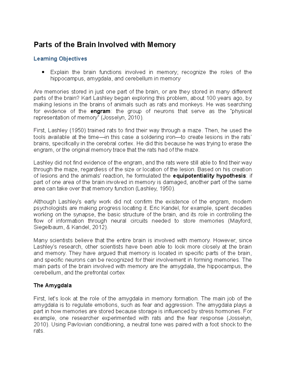 Parts of the Brain Involved with Memory Parts of the Brain Involved