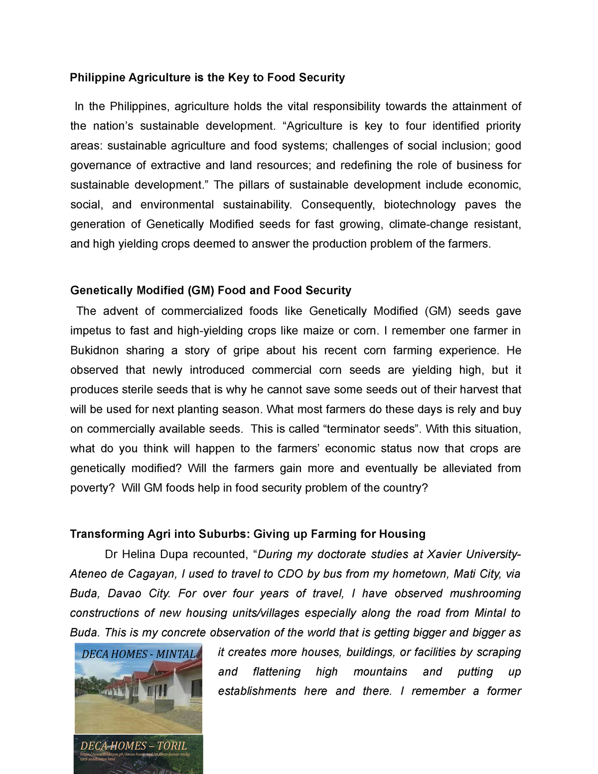 food security in the philippines essay