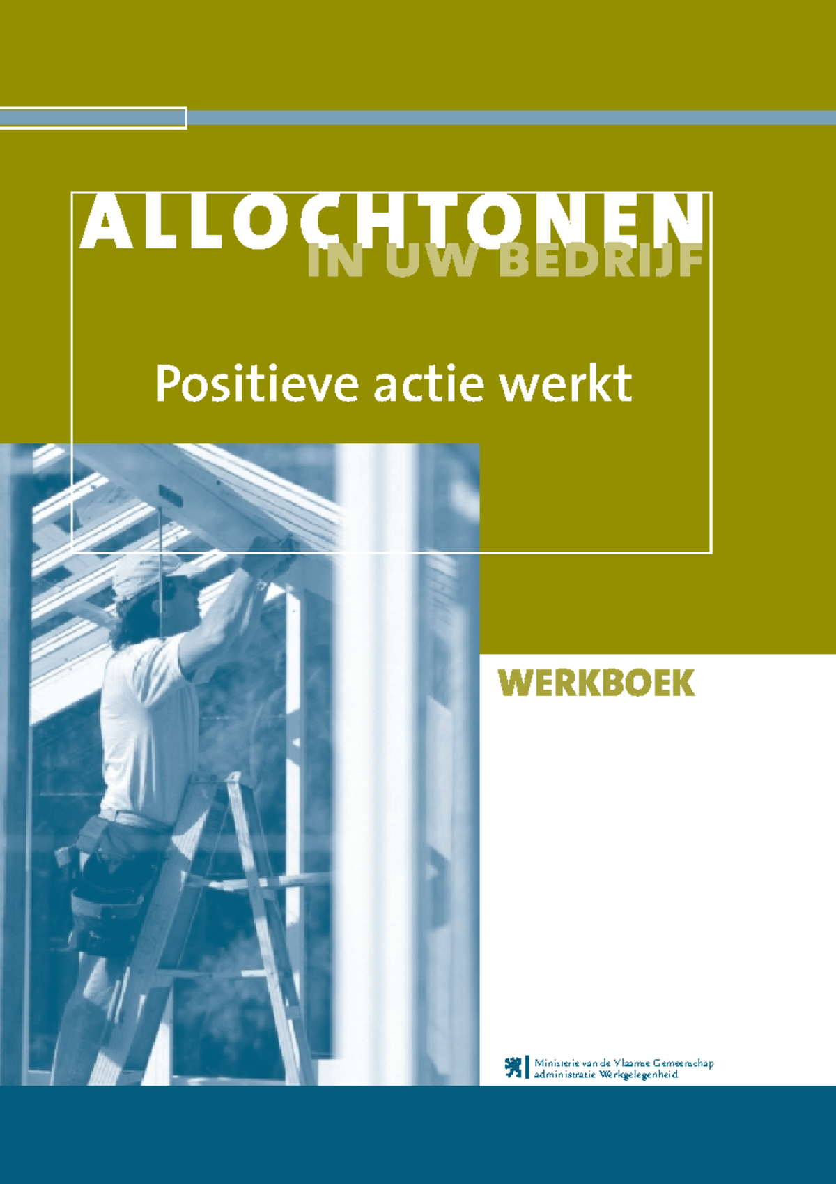 Allochtonen In Bedrijf Werkboek Azatar2001 - ALLOCHTONEN Positieve ...