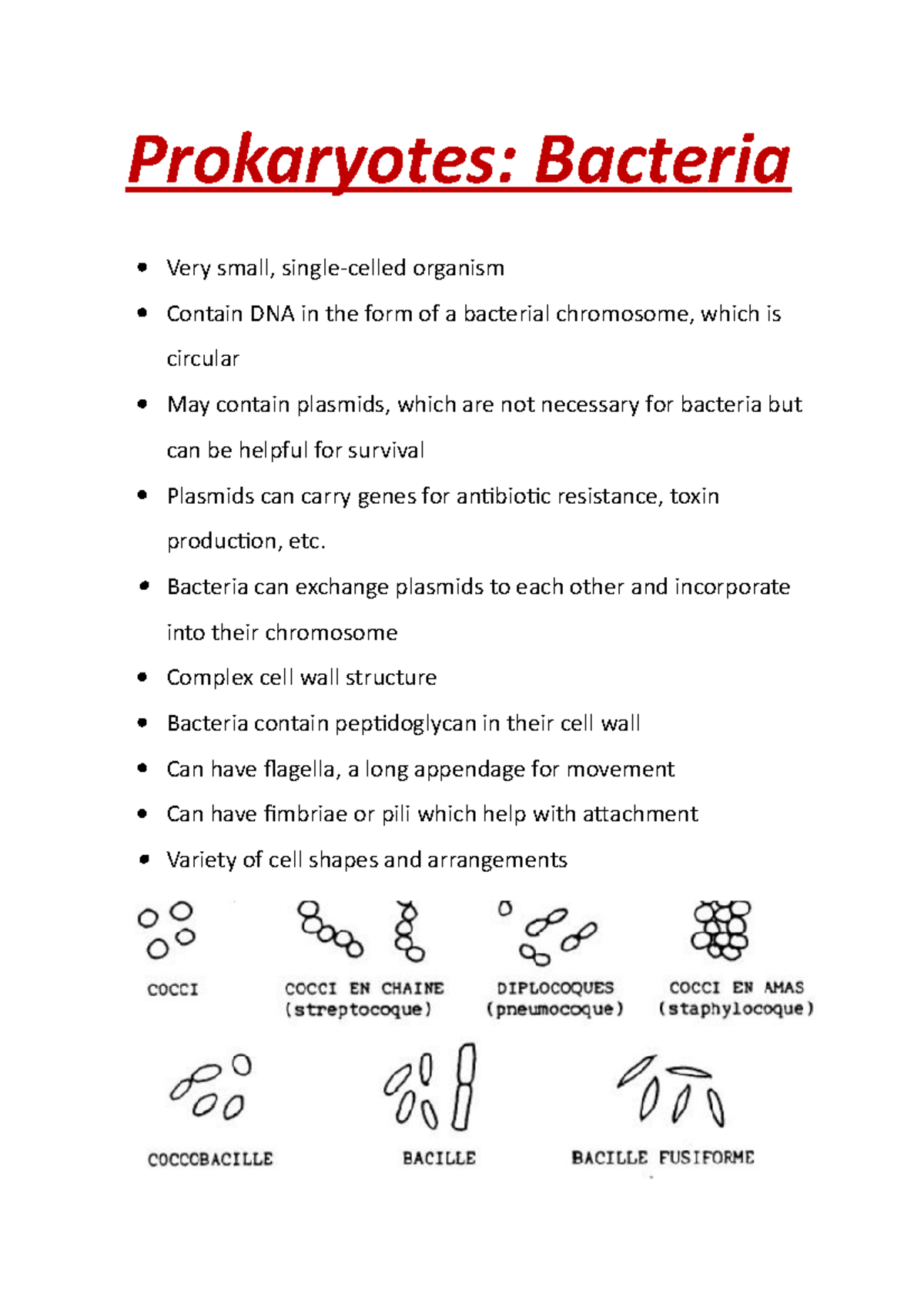 Prokaryotes Bacteria - Prokaryotes: Bacteria Very small, single-celled