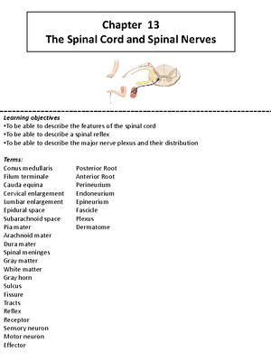 Exam 4 Study Guide - Notes for the fourth exam Surmacz - Exam 4 Study ...