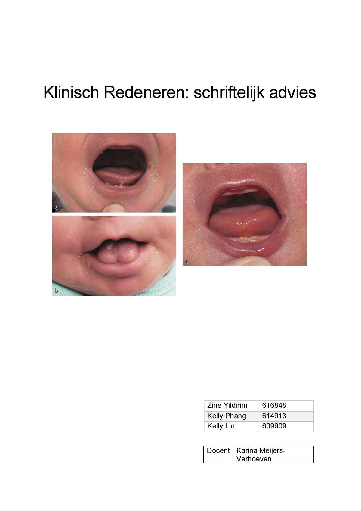 Klinisch Redeneren Maaike - Klinisch Redeneren: Schriftelijk Advies ...