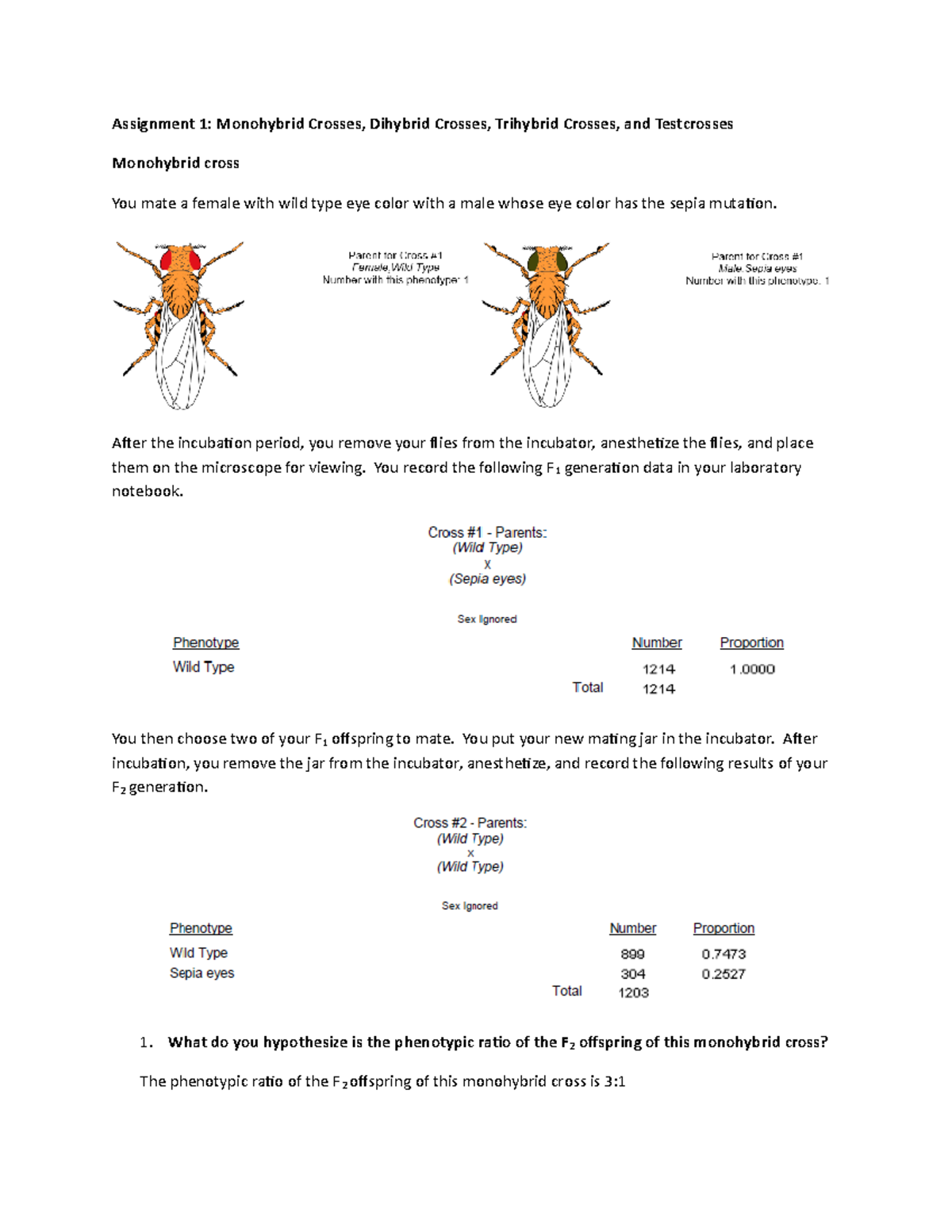 Monhybrid Mice Assignment Biology / Monhybrid Mice ...