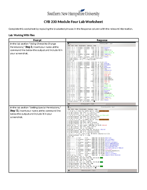 CYB 230 Module Three Lab Worksheet - CYB 230 Module Three Lab Worksheet ...