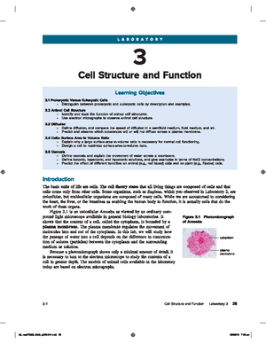 Lab Practical 2 Review Biology 107 Lab Practical 2 Notes Bridget