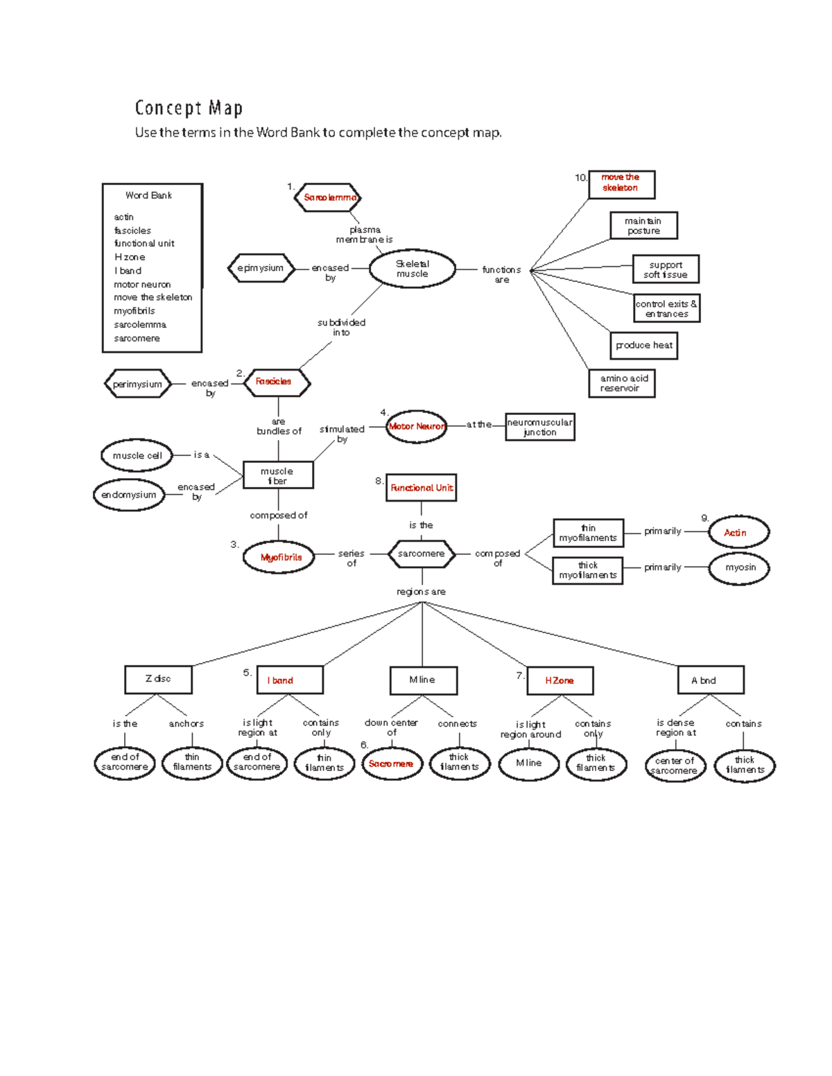 Chapter 2010 20 20Concept 20Map Concept Map Use The Terms In The   Thumb 1200 1553 