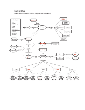 Anatomy & Physiology 1 Midterm I Practice Questions - Google Docs ...