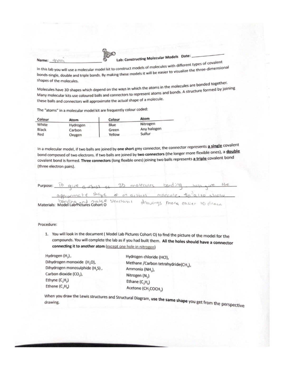 Constructing Molecular Models Lab Studocu
